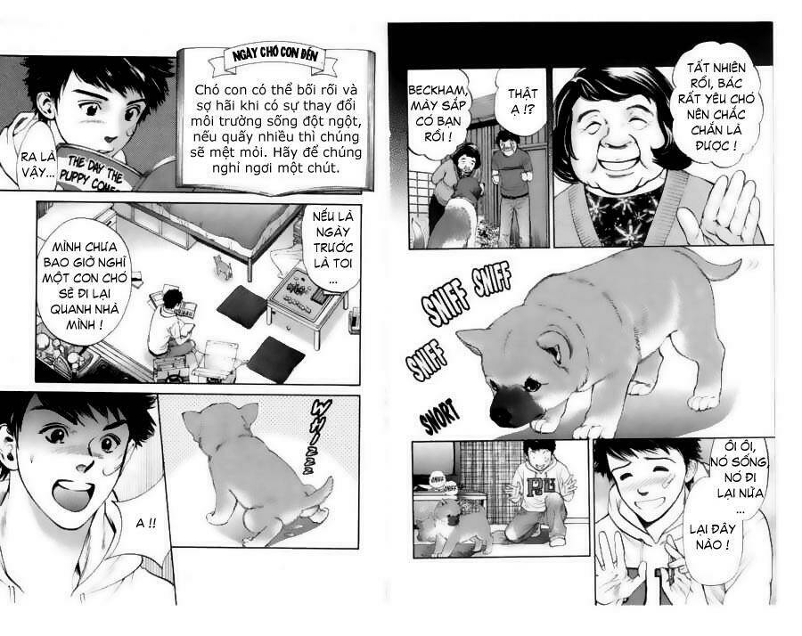 cô nàng yêu chó chapter 20 6