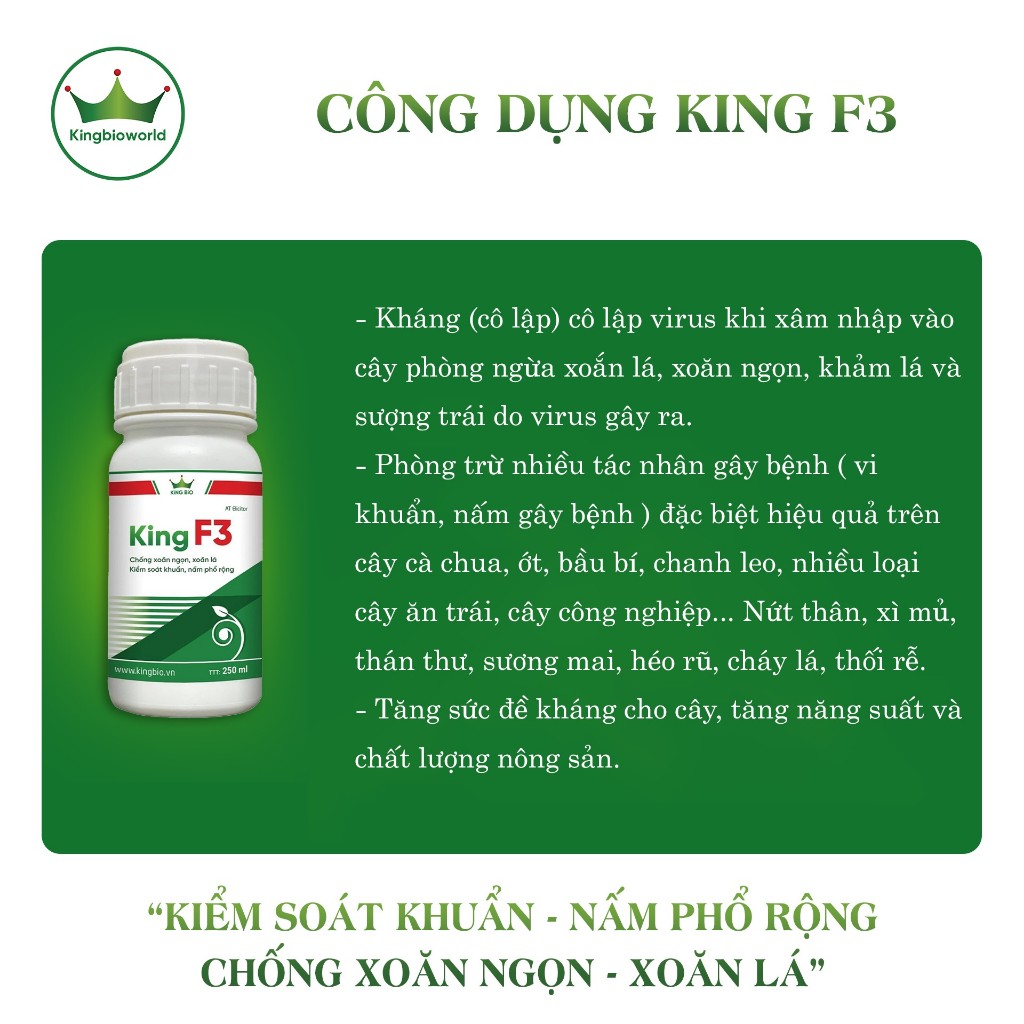 King F3 - Thuốc chống xoăn ngọn xoăn lá, kiểm soát khuẩn và nấm phổ thông, trị nứt thân, xì mủ, thán thư, sương mai