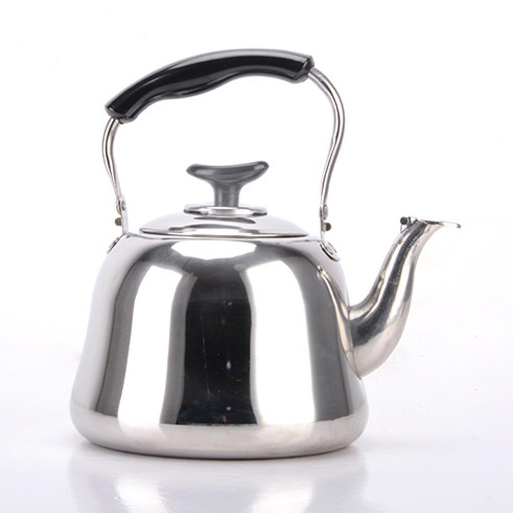 2x Stainless Steel Hot Water Tea Kettle with Whistle Sound Infuser Teapot 3L