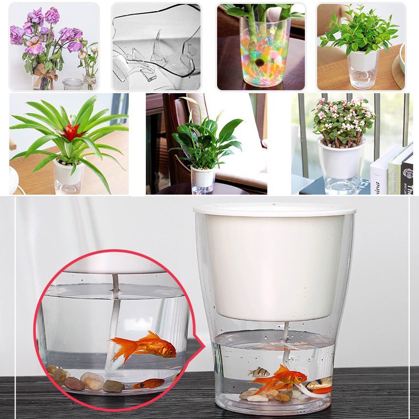 Chậu 2 Lớp Trồng Hoa Cây Cảnh Để Bàn, Bể 2 Đáy Chứa Nước Nuôi Cá, Cốc Trồng Cây Tự Hút Nước W09