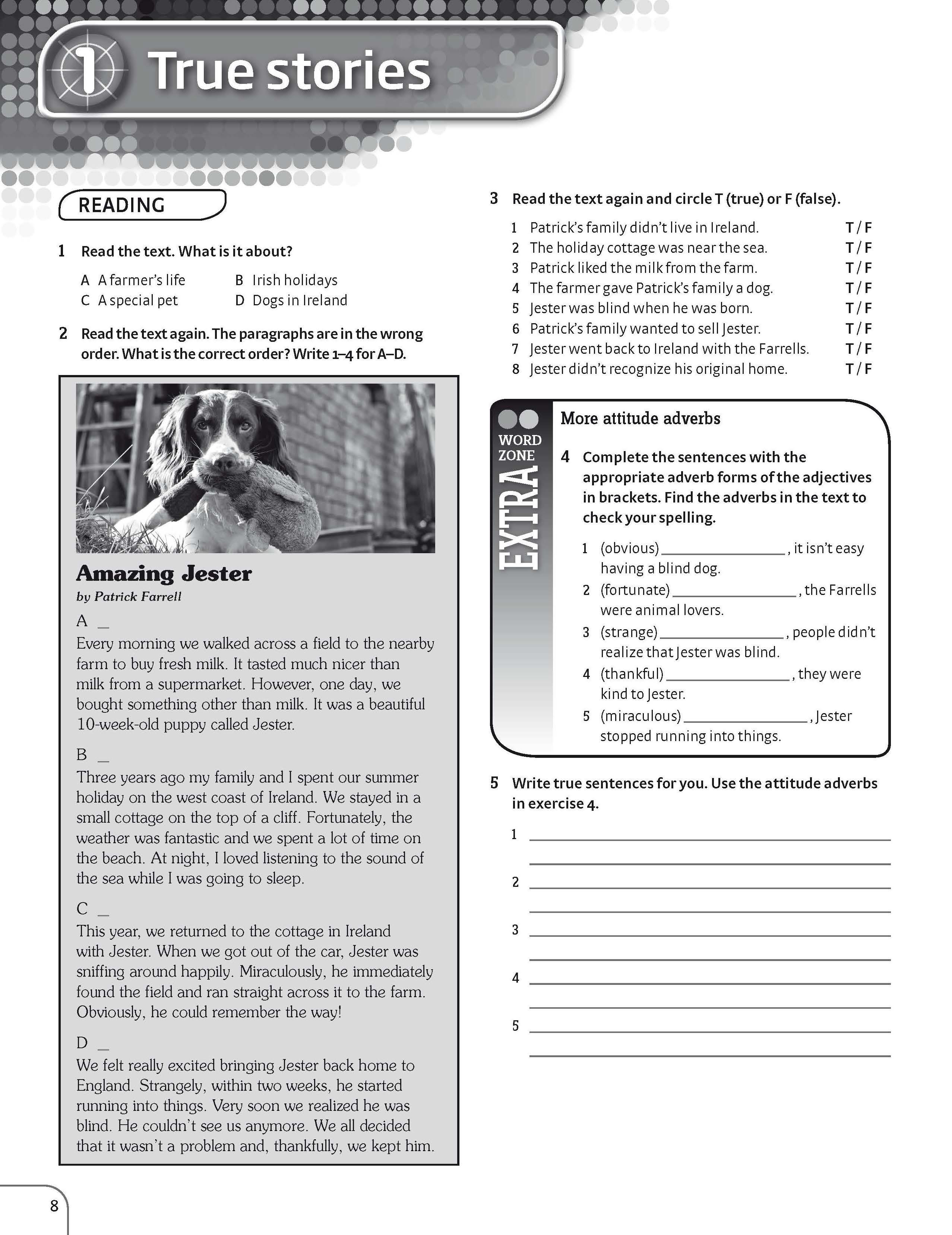 Achievers B1 Workbook