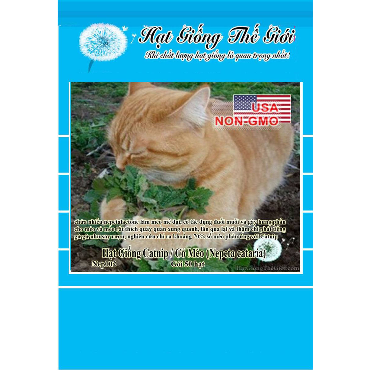 50h Hạt Giống Catnip / Cỏ Mèo (Nepeta cataria)