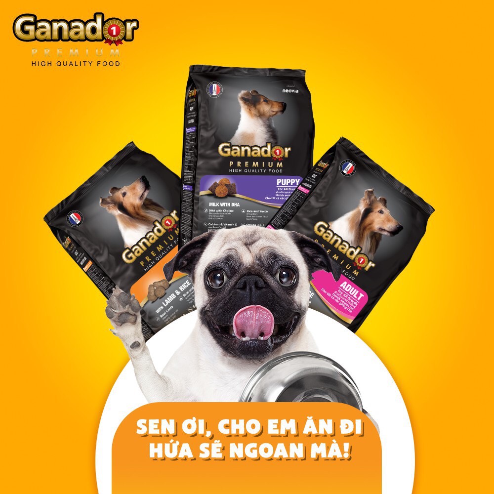 Thức ăn hạt cho Chó Ganador Sữa &amp; DHA cho Chó con - Ganador Puppy Milk and DHA