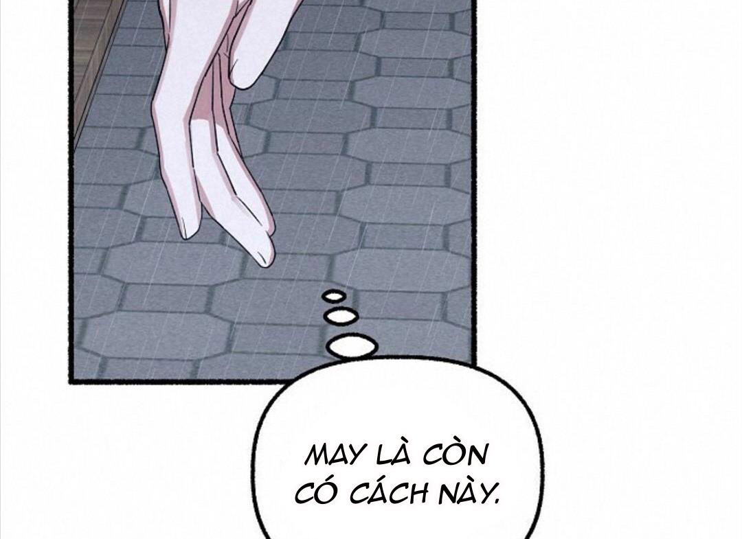 hoa triều chapter 19 119