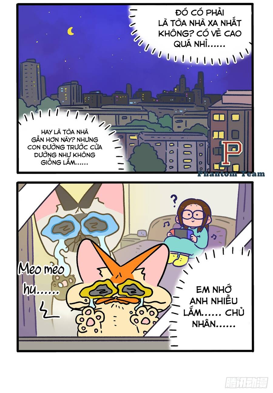 a mãn và mạch trà chapter 155 2