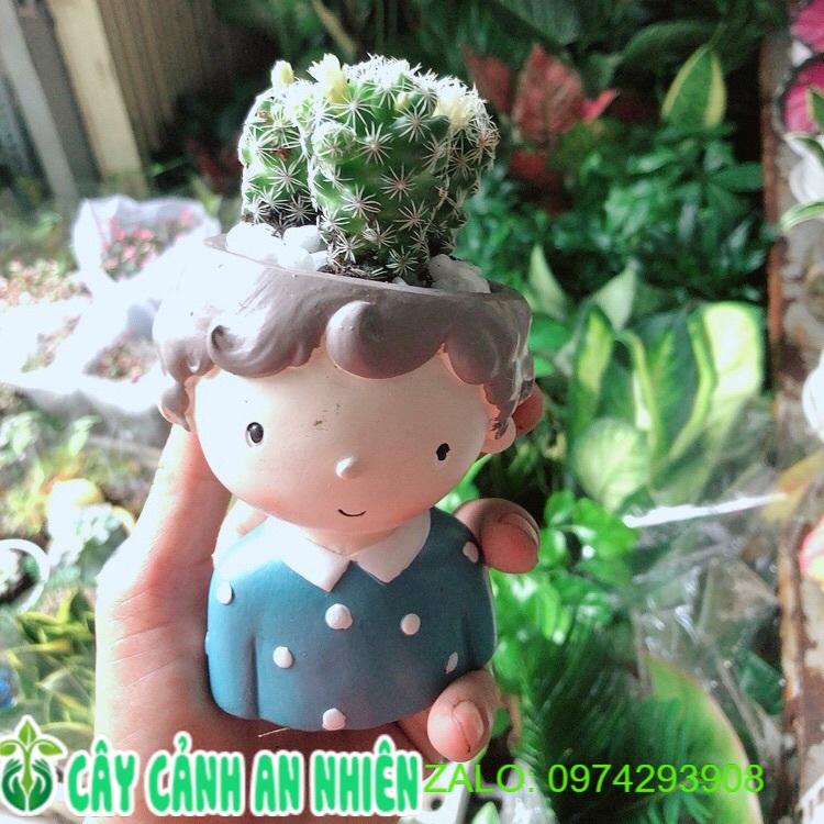 Chậu Xương Rồng Trứng Chim