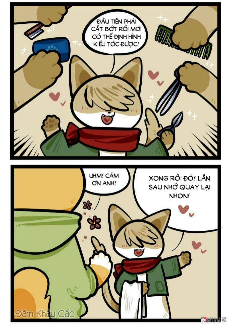 đời không như mình tưởng chapter 66 5