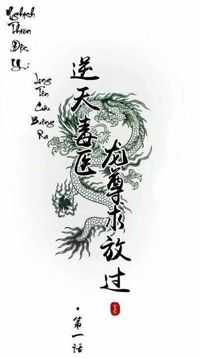 nghịch thiên độc y: long tôn cầu buông ra chapter 1 1