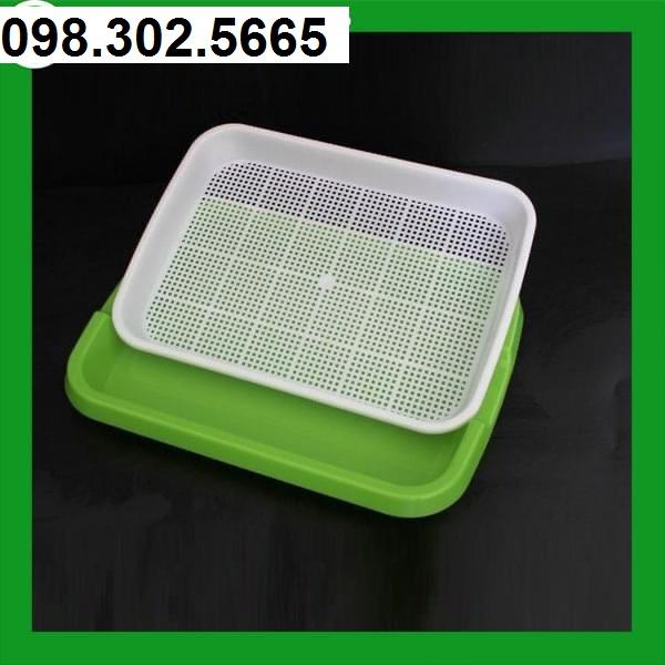 Khay trồng giá đỗ, rau mầm thuỷ canh thông minh nhựa nguyên sinh an toàn