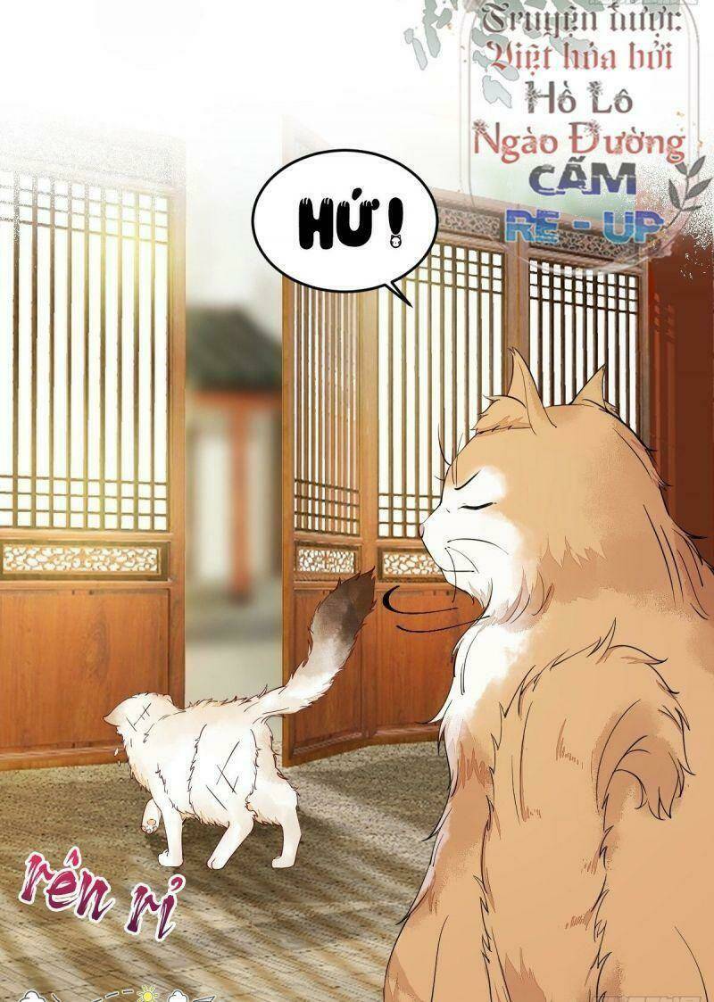 sát thủ vương phi không dễ chọc chapter 35 8