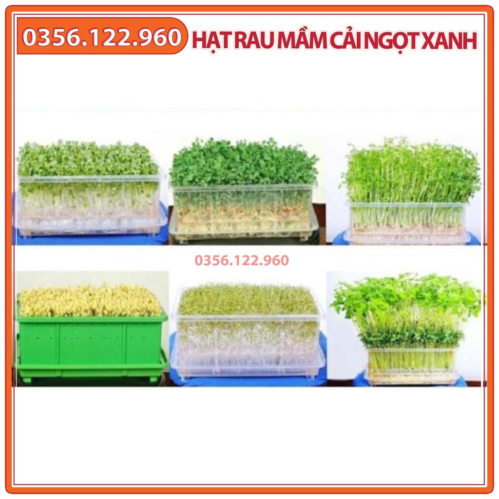 Hạt rau mầm rau cải ngọt xanh - gói 50g - hạt tuyển chọn chất lượng cao