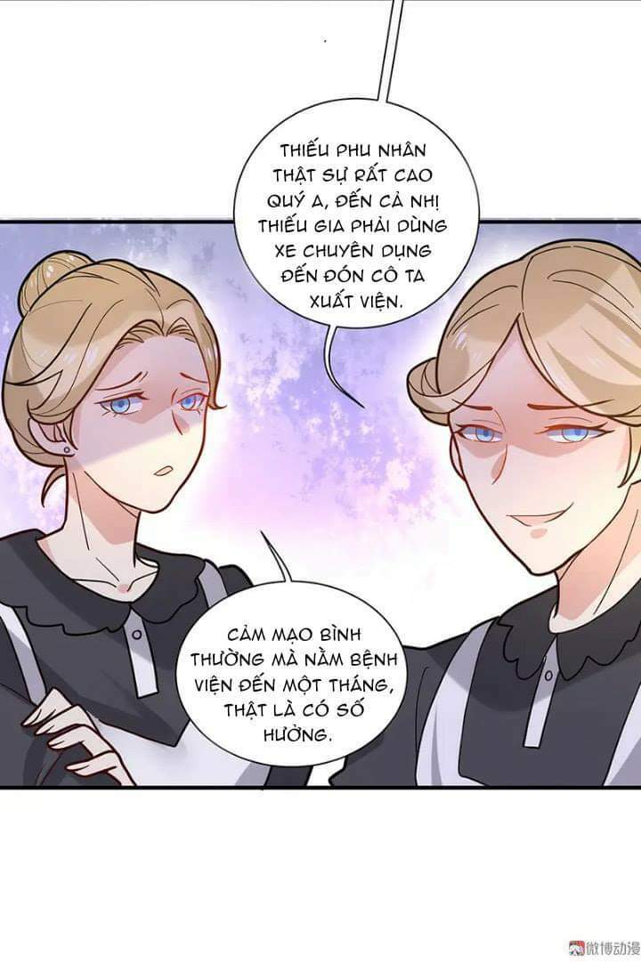 tổng tài truy thê: phu nhân đừng hòng trốn chapter 20 5