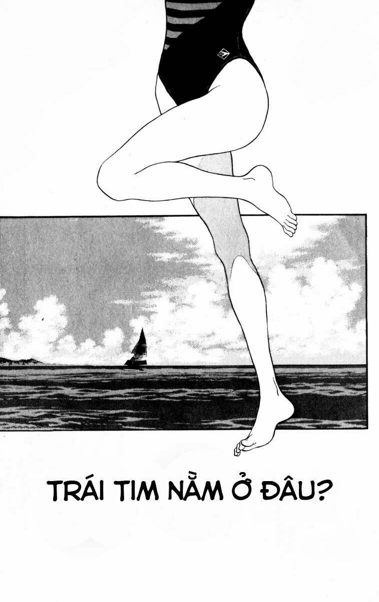 rough - ngọc thô chapter 82 1