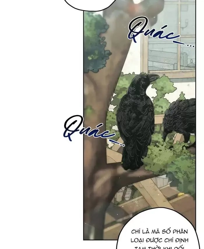 liveta chapter 65 64