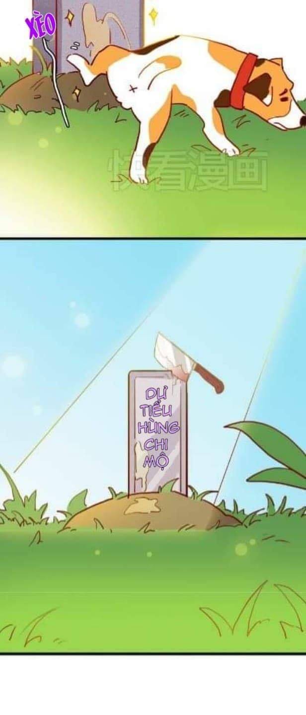 gấu nhỏ dư và thỏ thỏ hứa chapter 9 21