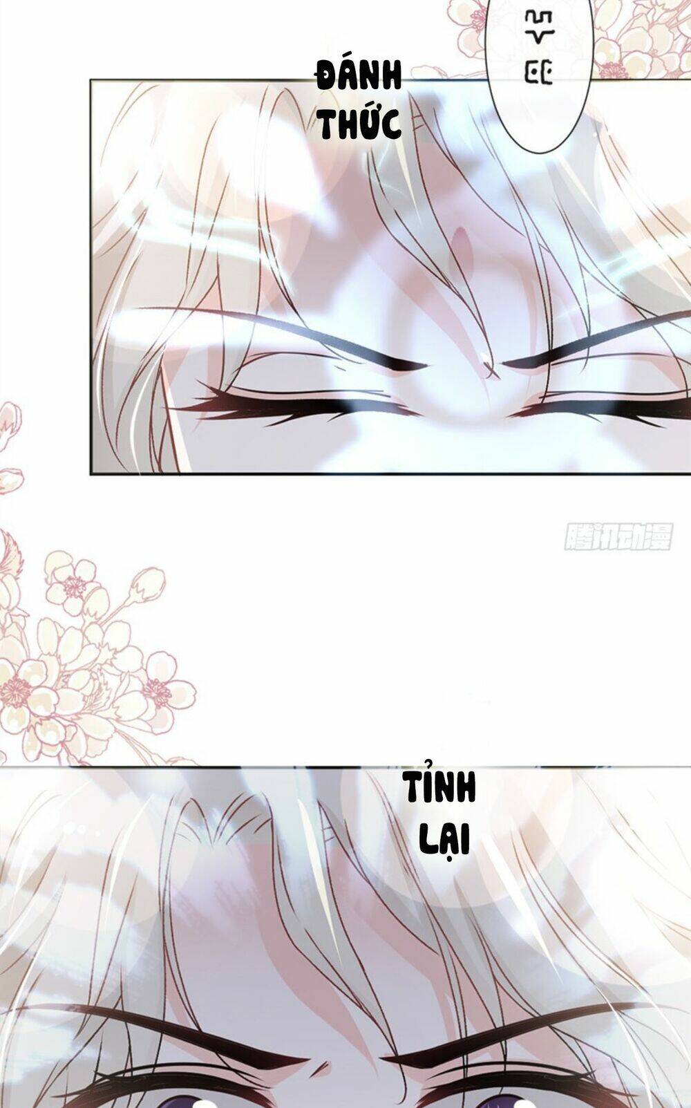 thiên hạ đệ nhất sủng phi chapter 87.1 7