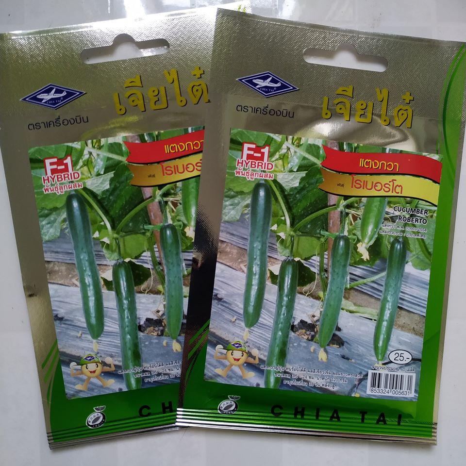 HẠT GIỐNG DƯA CHUỘT NHẬT ROBERTO F1