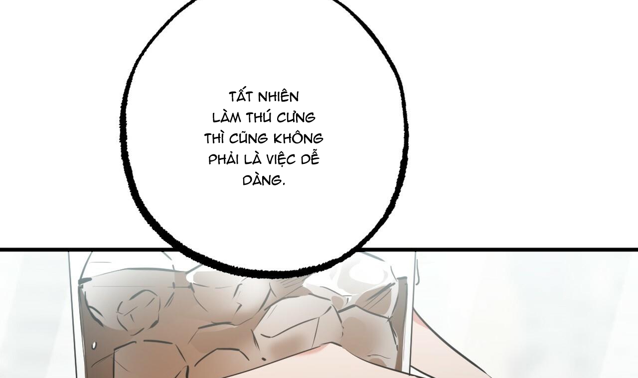 đàn thỏ của habibi chapter 34 155