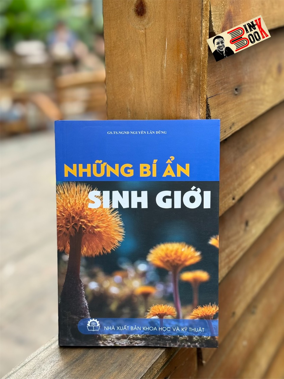NHỮNG BÍ ẨN SINH GIỚI - Nguyễn Lân Dũng - Hanoi Books