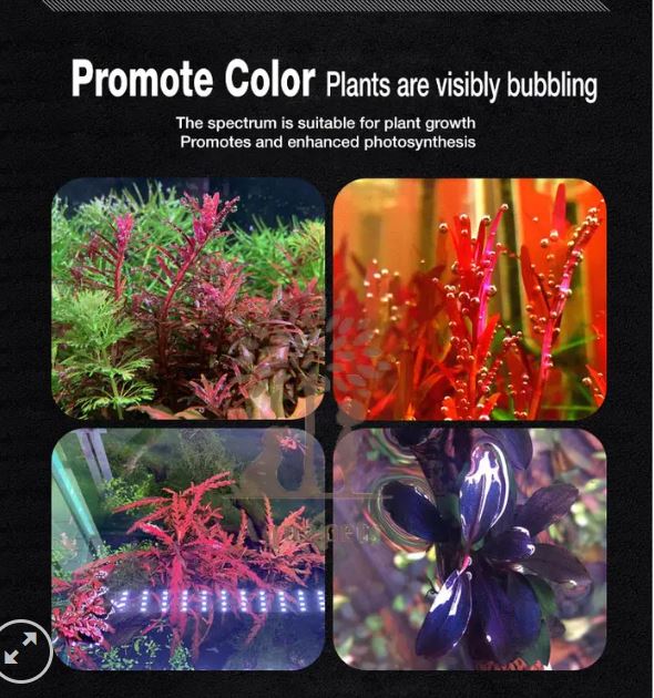 Đèn thủy sinh Neo Helios Flat XP Series - RGB 3 in 1 đỏ cá không đỏ nước