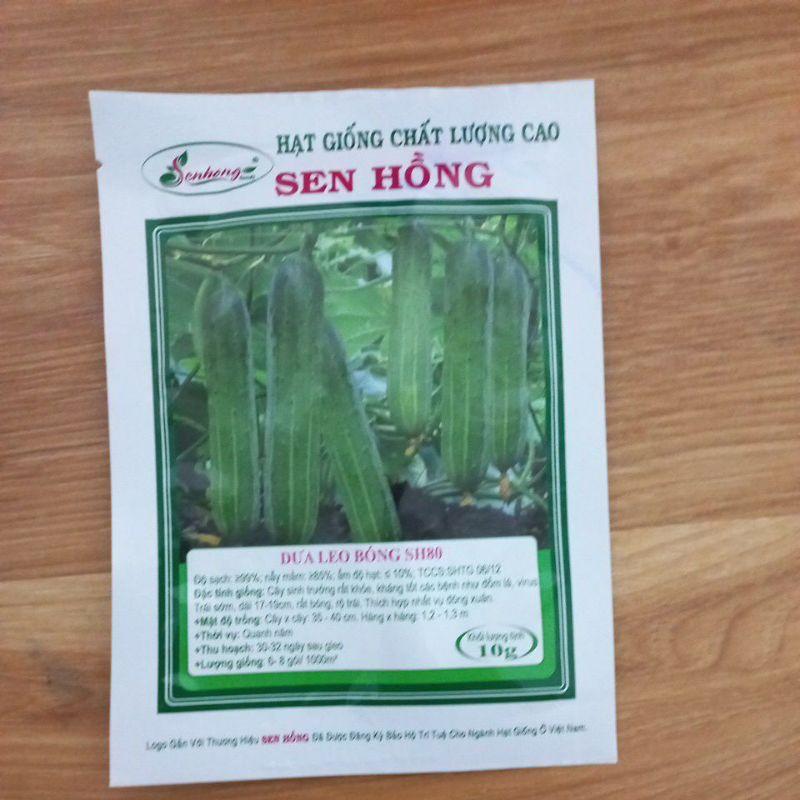 Hạt giống dưa leo bóng SH80 Sen Hồng 10g