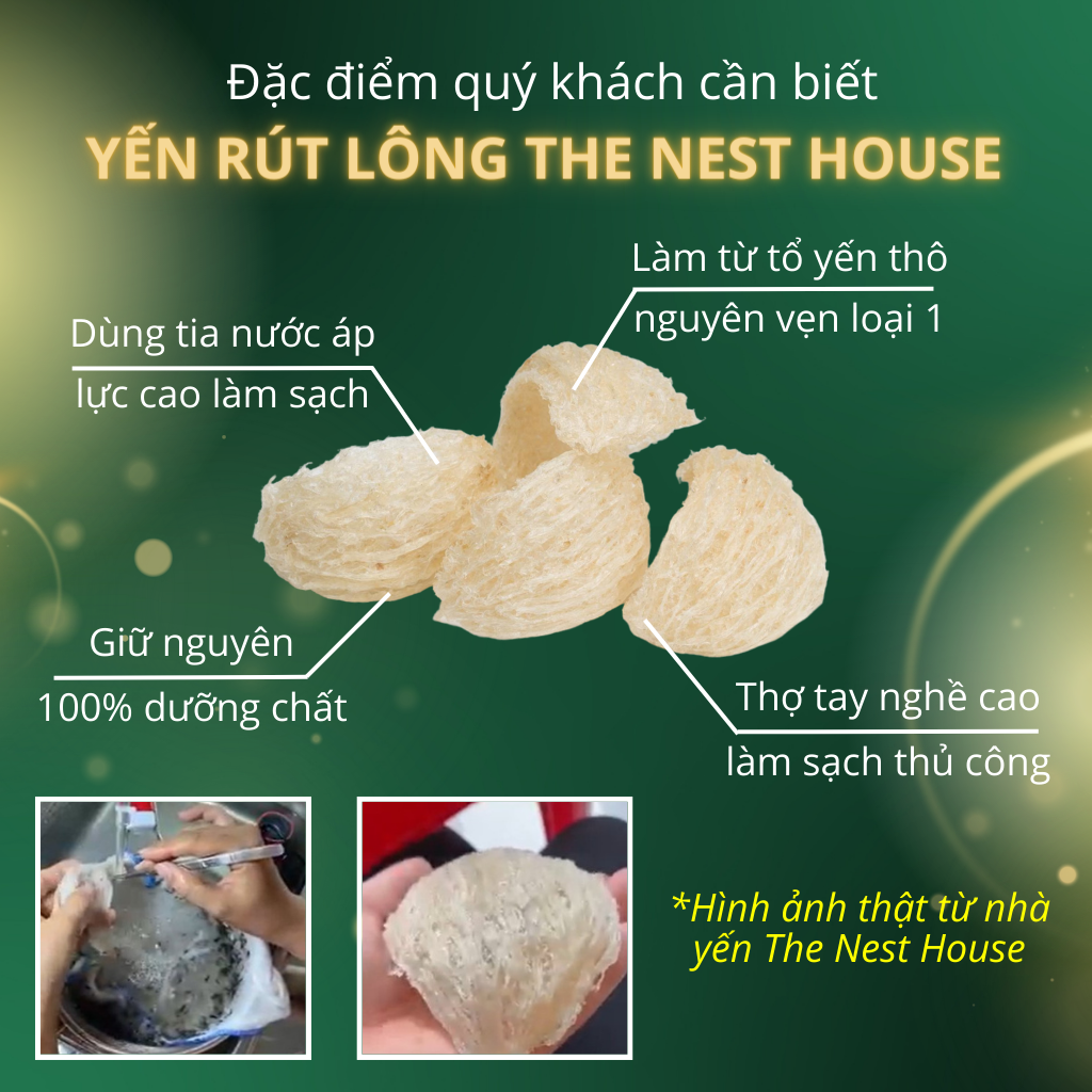 Yến rút lông nguyên tổ xuất khẩu - yến sào cao cấp The Nest House