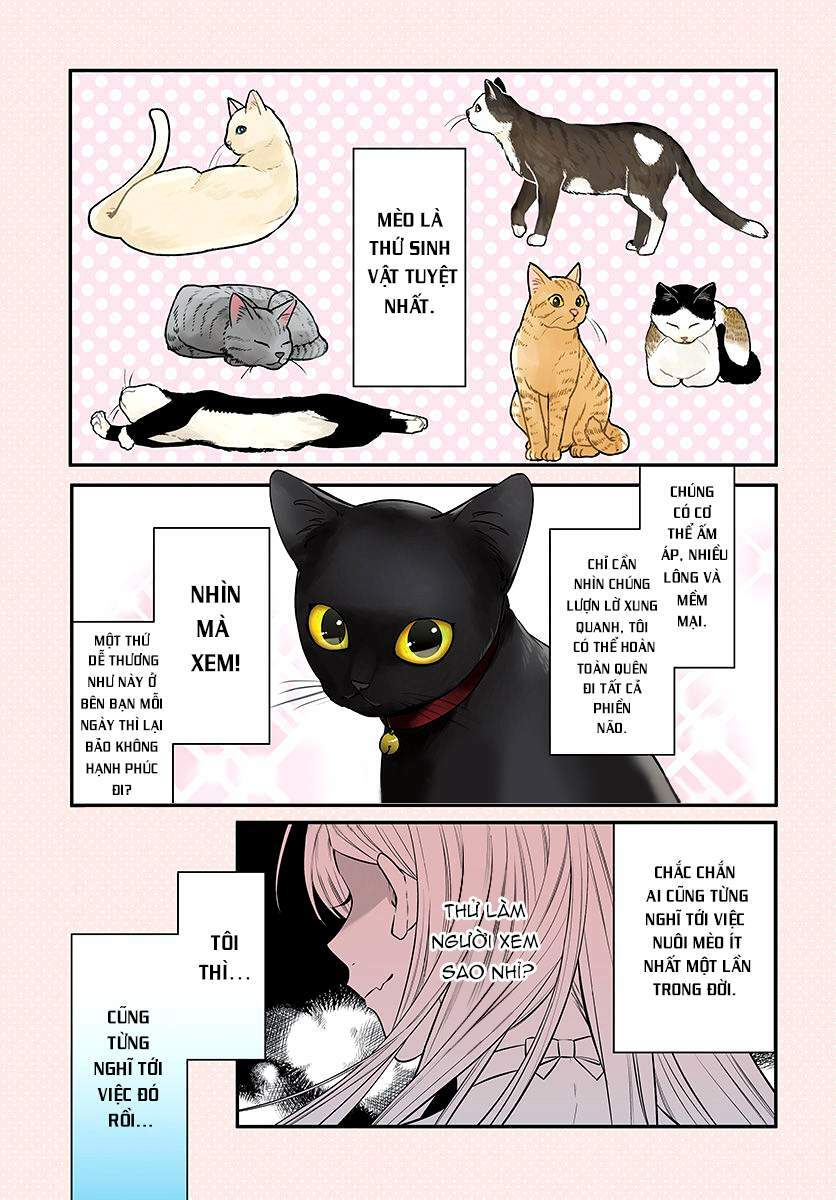 mi-chan muốn được nhận nuôi! chapter 1 1