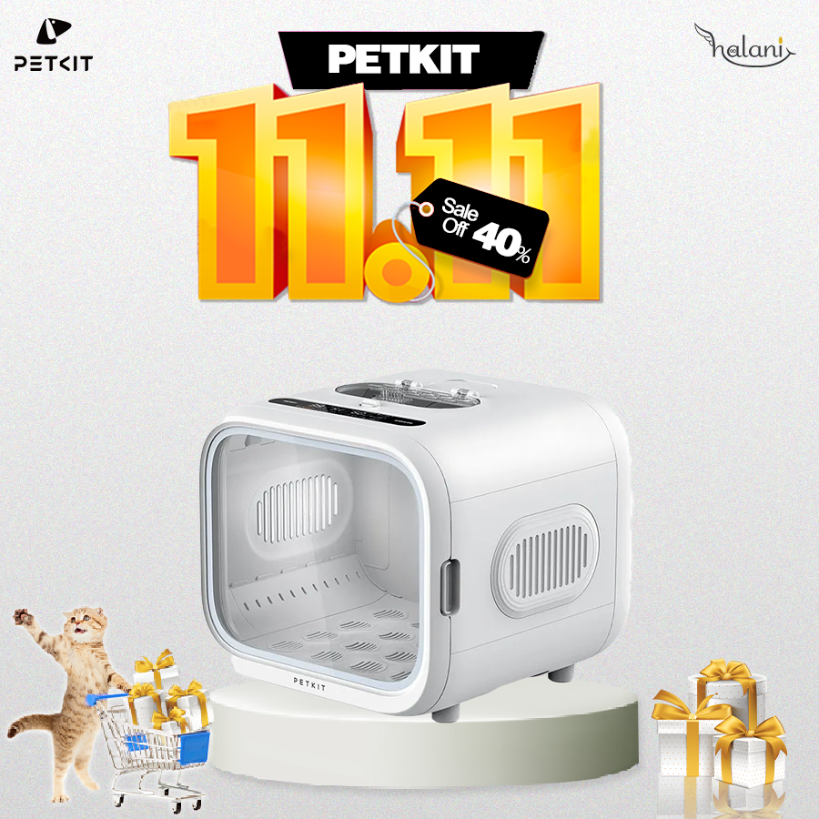 Máy sấy Airsalon Max