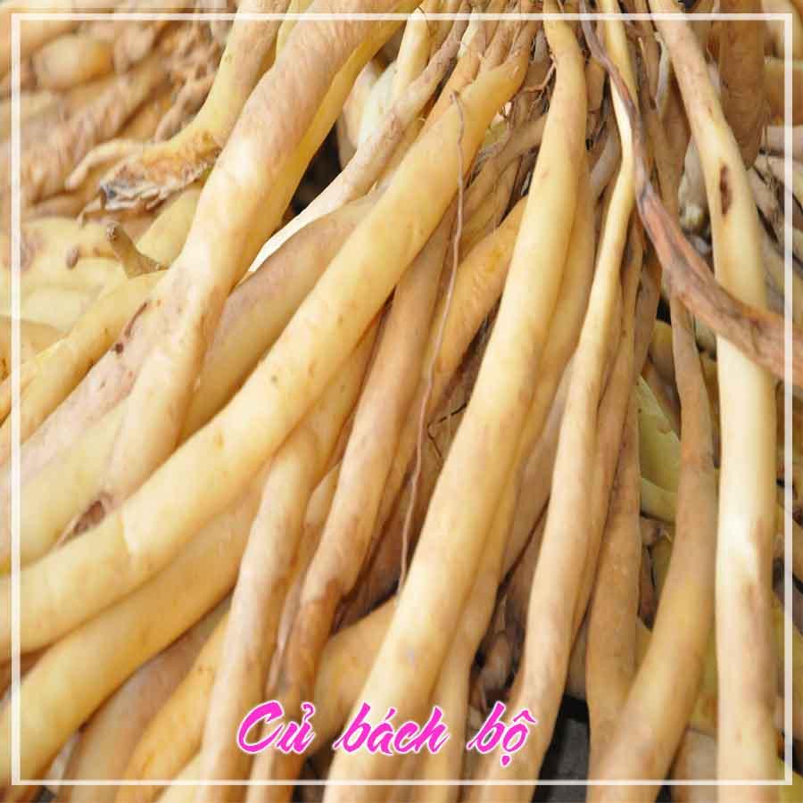 Củ Bách Bộ (Củ Ba Mươi) khô sạch đóng gói 1kg