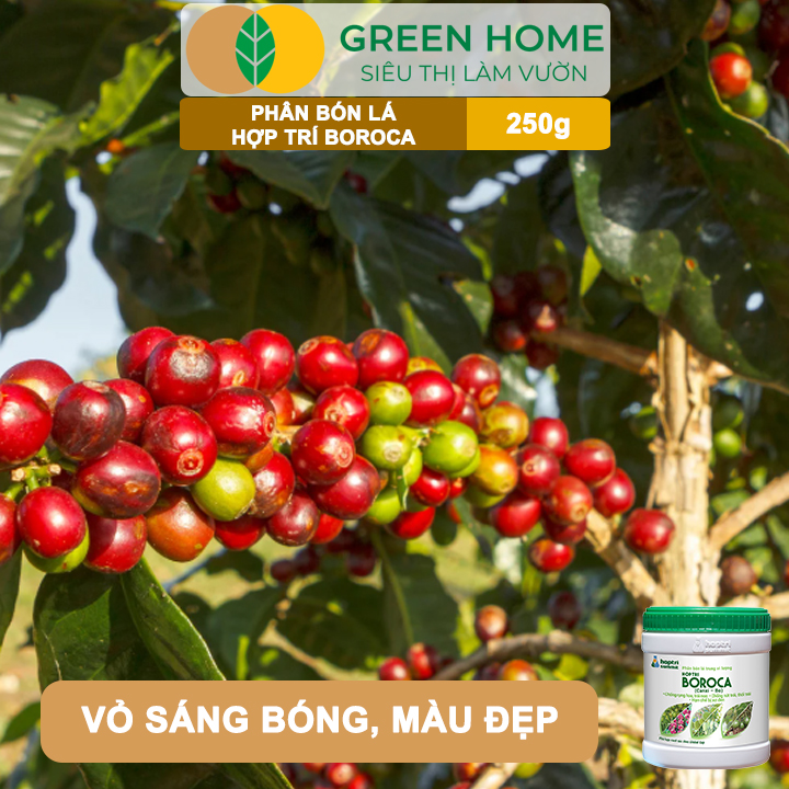 Phân bón lá Hợp Trí Boroca GreenHome, Hũ 250gr, Giúp Chống Rụng Hoa, Trái Non Tăng Đậu Trái Hiệu Quả