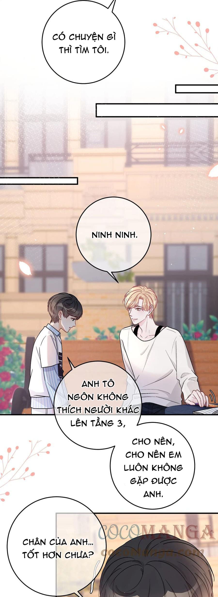 trước và sau ly hôn! chapter 48 5