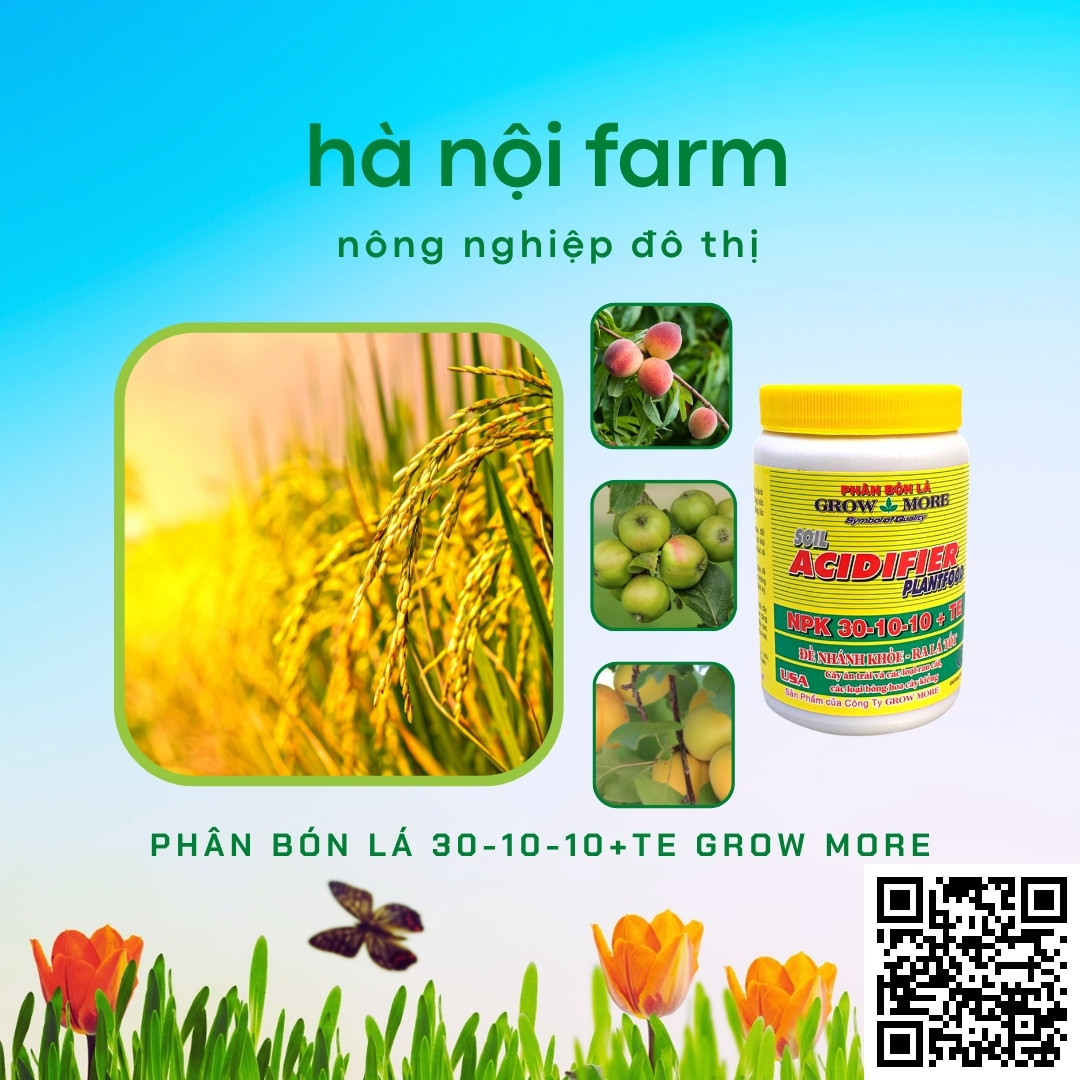 Phân bón lá 30-10-10 Grow More - Hũ 100g