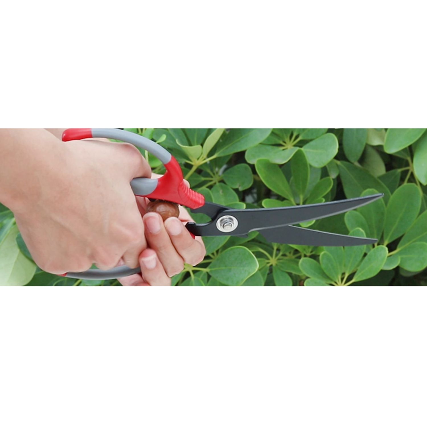 Kéo làm bếp Nikken Mate chống dính 25cm