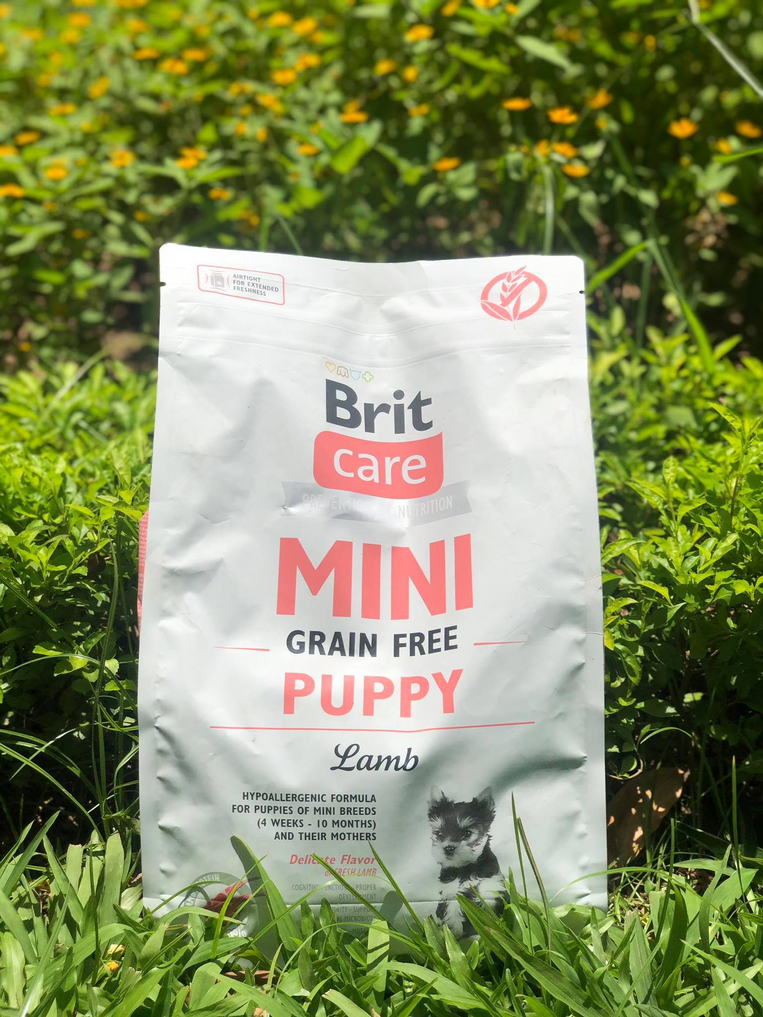 Thức ăn hạt cao cấp không chưa ngũ cốc dành cho chó con giống chó nhỏ vị thịt cừu CH Séc - Brit Care Mini Grain-Free Puppy Lamb(2kg)