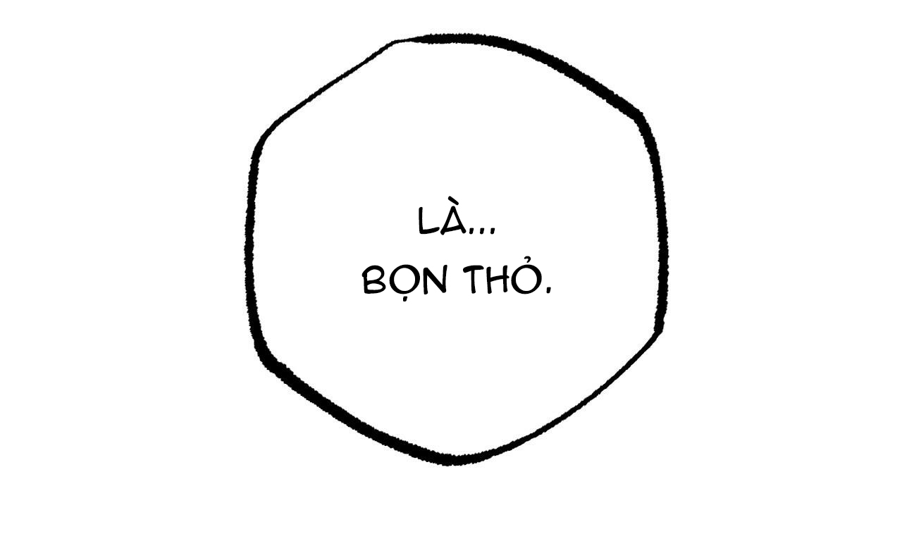 đàn thỏ của habibi chapter 33 259