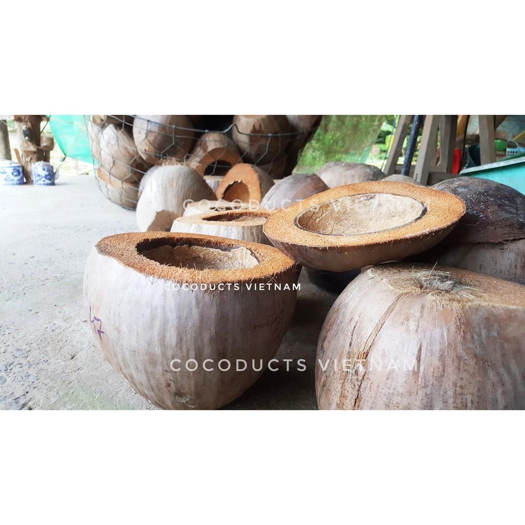 Vỏ bình trà gáo dừa truyền thống