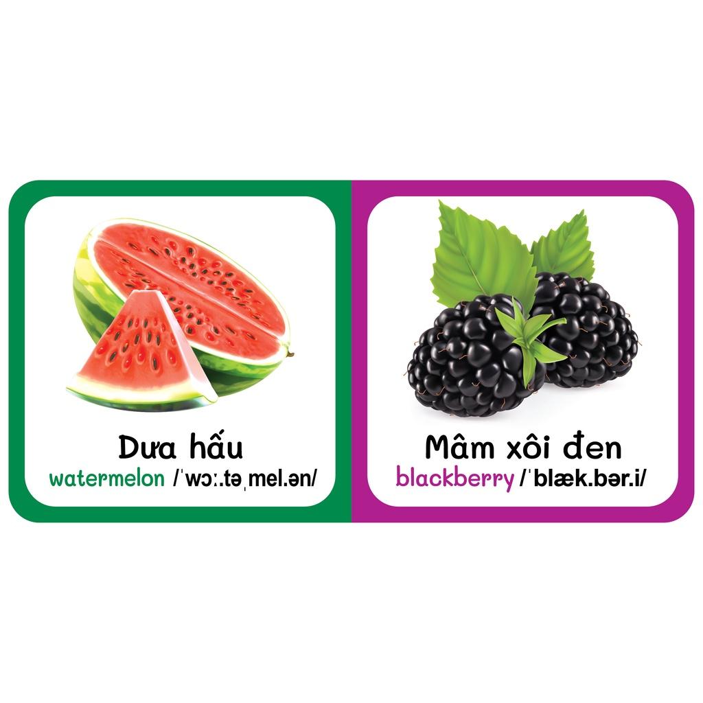 Sách - Baby'S First Picture Dictionary - Từ Điển Bằng Hình Đầu Tiên Của Bé - Trái Cây - Fruits