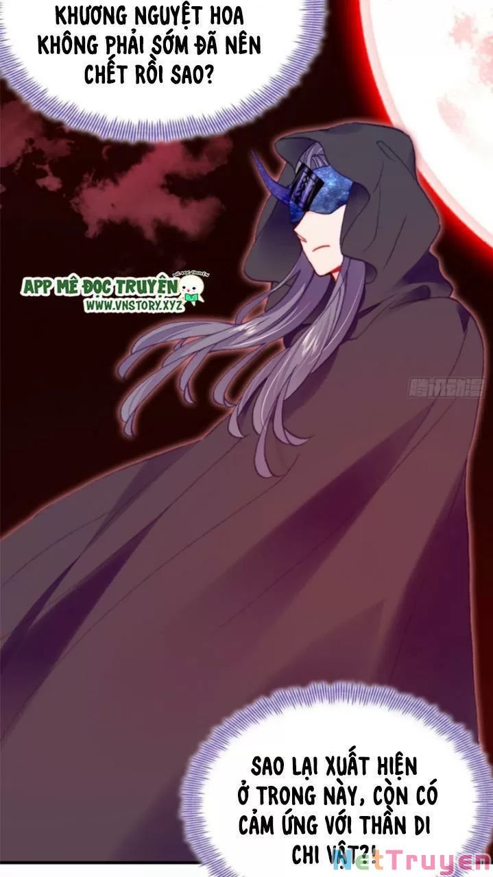 lại bị bệnh chiều chuộng quấn lấy chapter 24 5