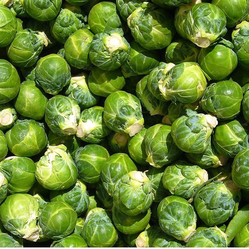 Hạt giống Bắp Cải tí hon