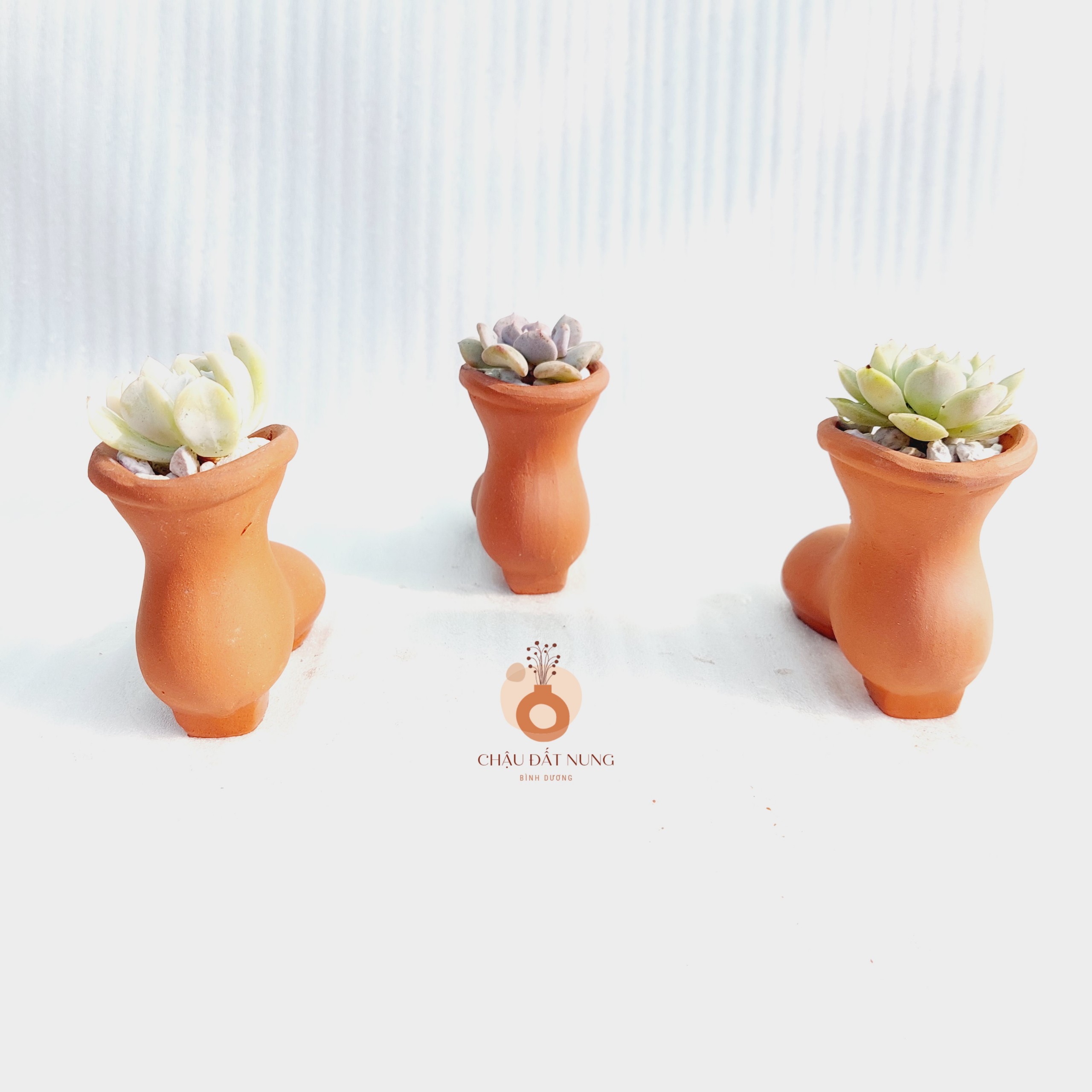 Chậu đất nung Bình Dương - Chiếc hài lọ lem, miệng chậu 4.5cm, chiều cao 7cm