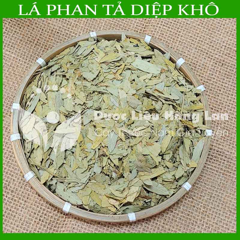 Lá Phan Tả Diệp khô 500gram