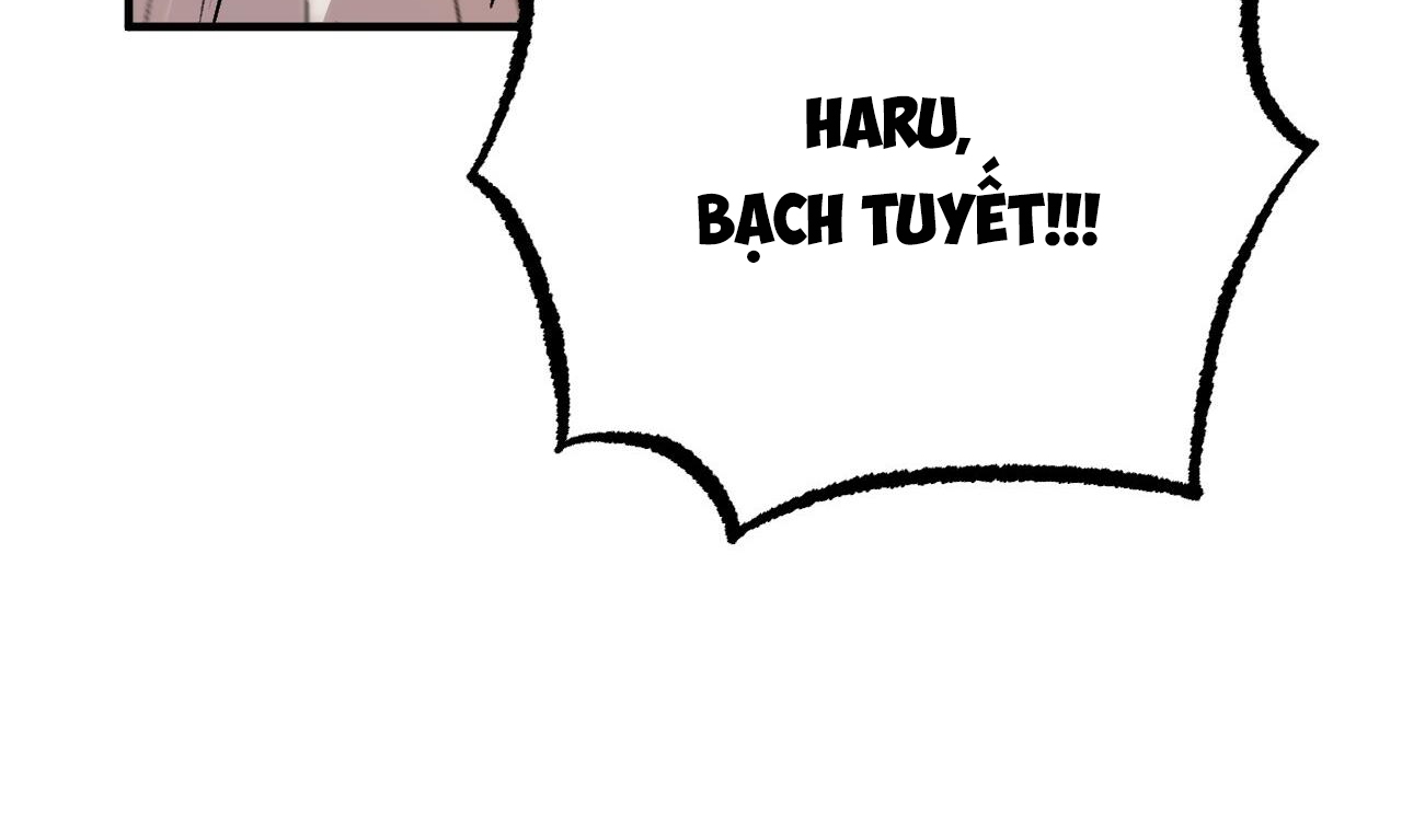 đàn thỏ của habibi chapter 33 250