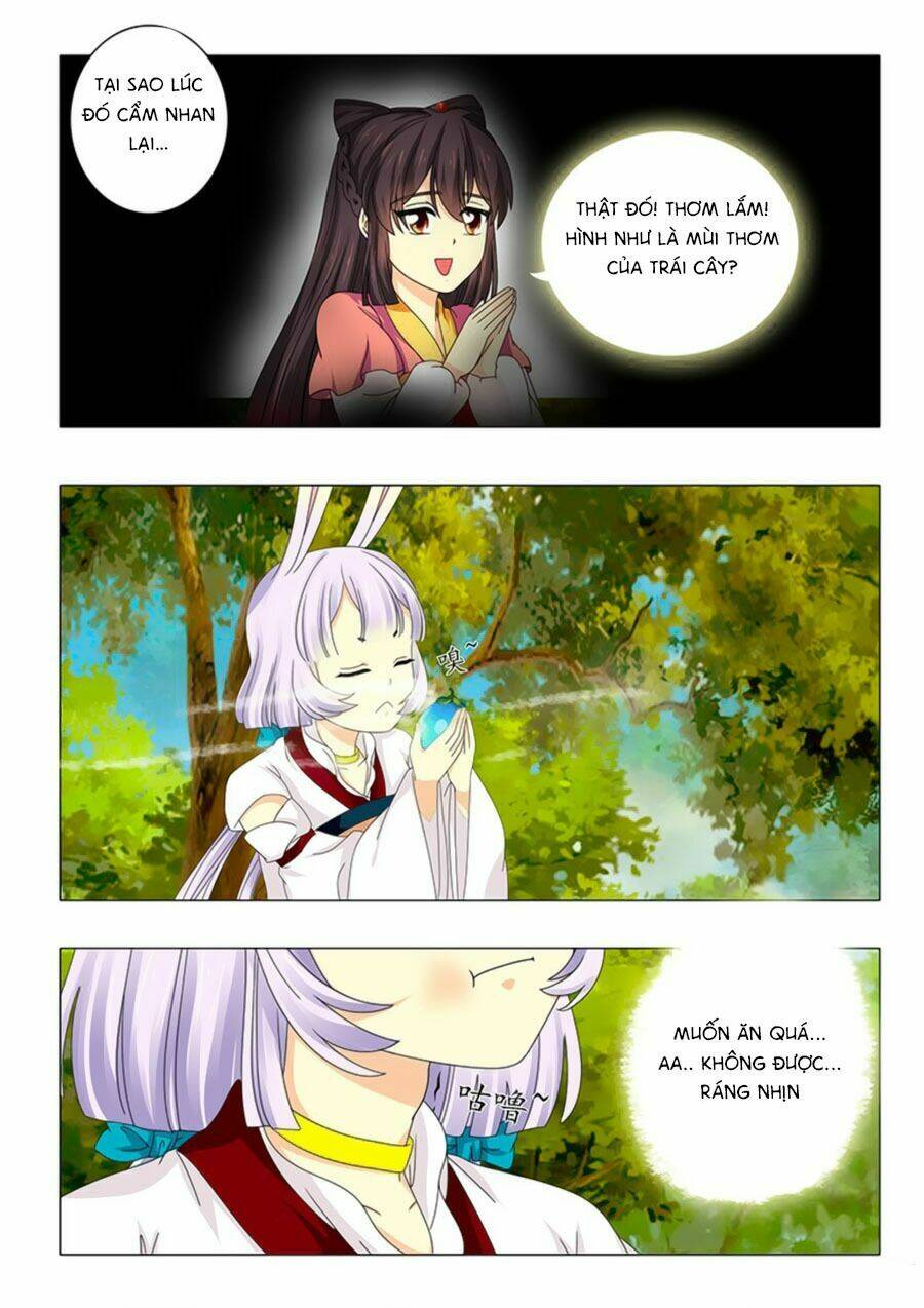 đống phù đã khai quang chapter 59 13