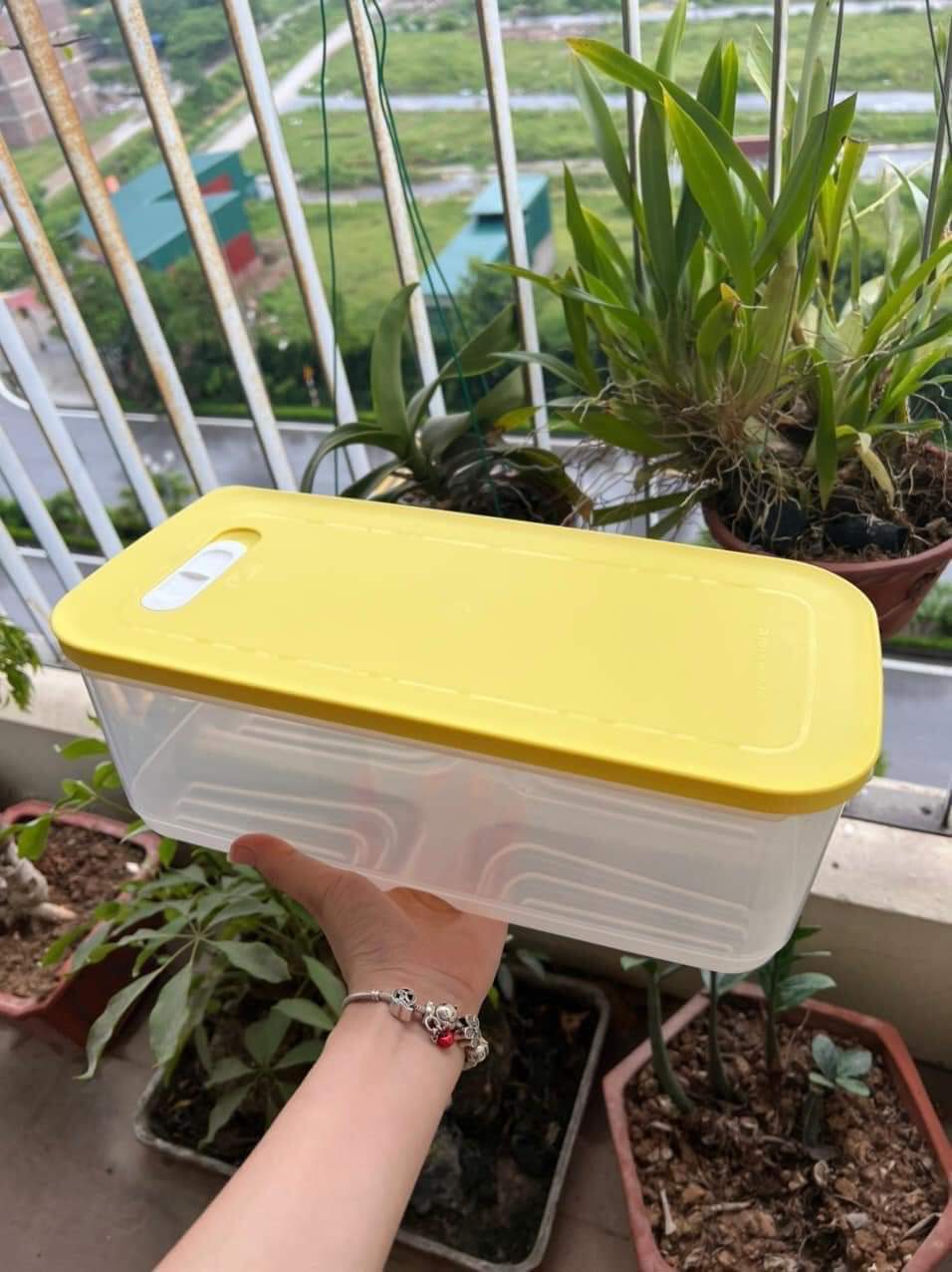 Hộp trữ mát có nút hô hấp Ventsmart 6.1 Lít Tupperware - Hàng chính hãng