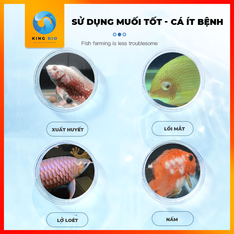 Muối khoáng Yee 2 màu loại đặc biệt, tăng cường sức đề kháng phòng bệnh cho cá cảnh