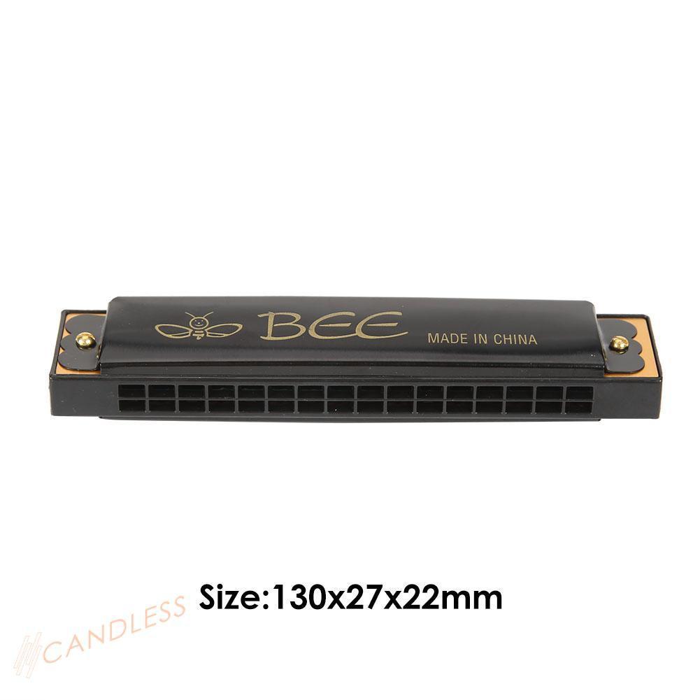 Kèn Harmonica 16 Lỗ Cho Người Mới Bắt Đầu