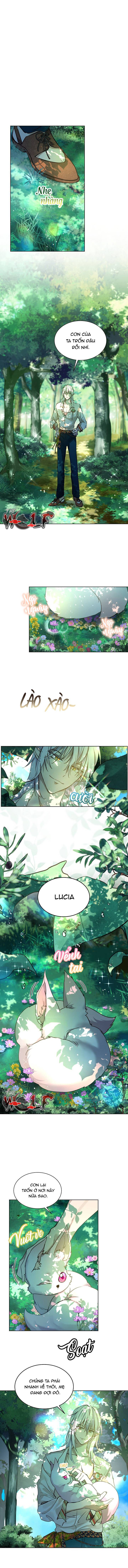 tái sinh thành bé thần thú nhỏ chapter 1 1