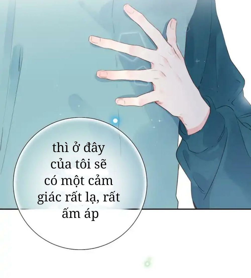 sos! tôi đã yêu một con sâu bướm (phần 2) chapter 49 41