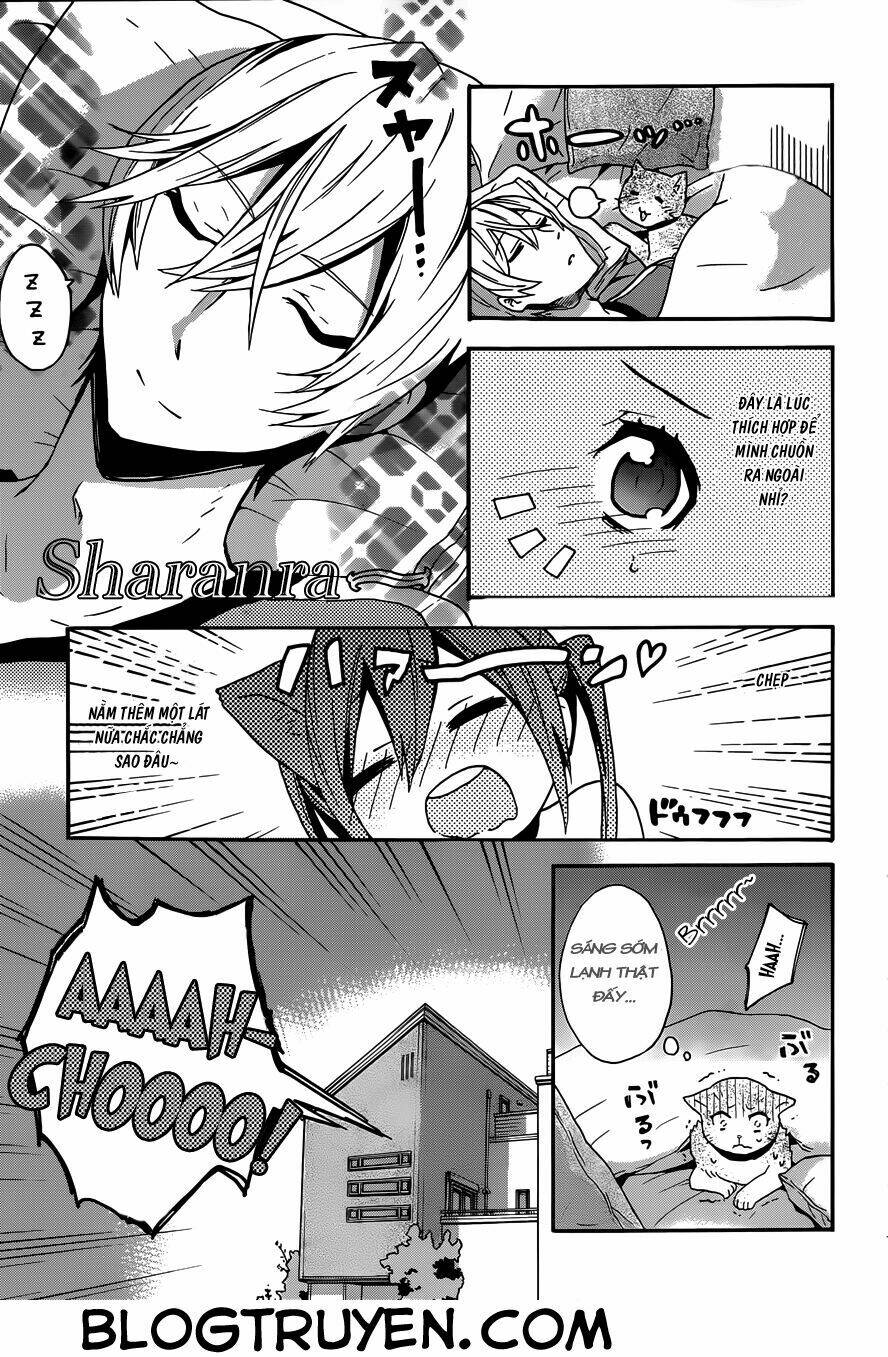 oniichan no koto ga suki sugite nyan nyan shitai burakon imouto dakedo sunao ni narenai no chapter 3 17