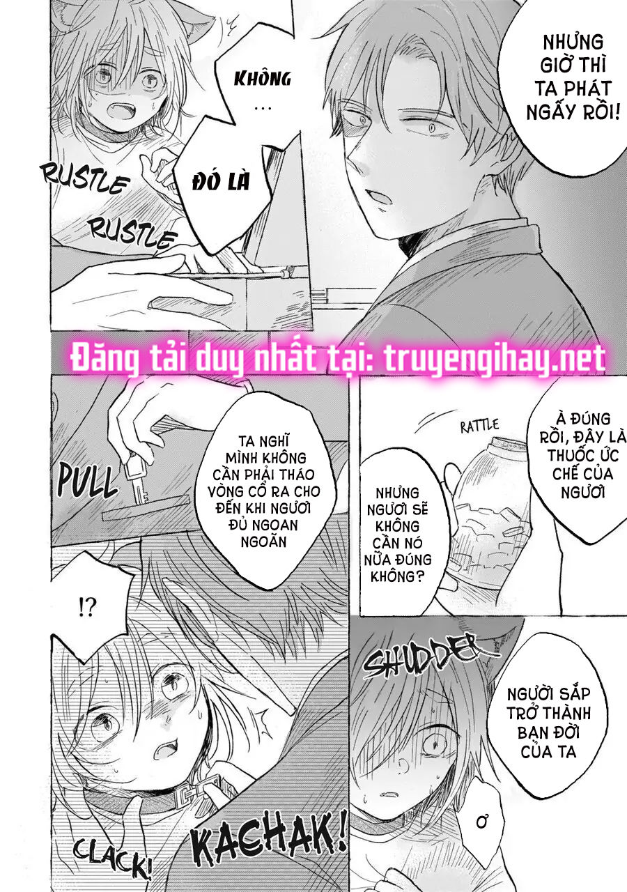 neko mimi omegaverse chapter 6.2 8